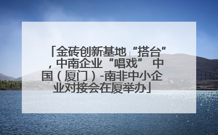 金砖创新基地“搭台”，中南企业“唱戏” 中国（厦门）-南非中小企业对接会在厦举办