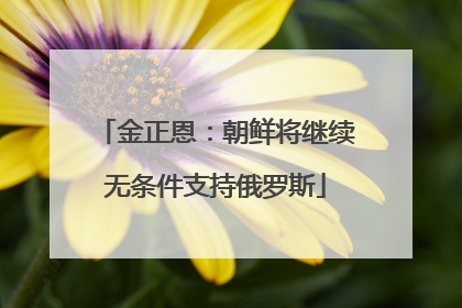 金正恩：朝鲜将继续无条件支持俄罗斯