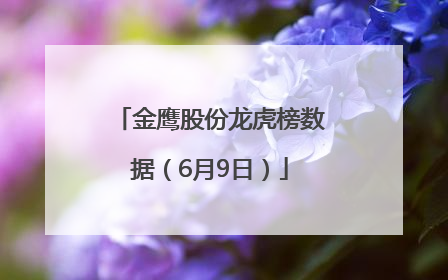 金鹰股份龙虎榜数据（6月9日）
