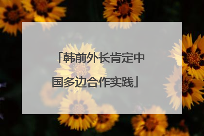 韩前外长肯定中国多边合作实践