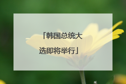 韩国总统大选即将举行