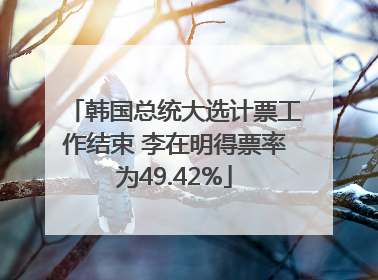 韩国总统大选计票工作结束 李在明得票率为49.42%