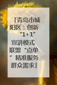 青岛市城阳区：创新“1+1”宣讲模式 联盟“点单”精准服务群众需求