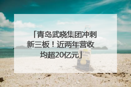 青岛武晓集团冲刺新三板！近两年营收均超20亿元