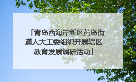 青岛西海岸新区黄岛街道人大工委组织开展辖区教育发展调研活动