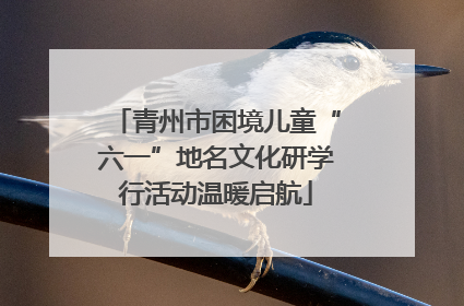 青州市困境儿童“六一”地名文化研学行活动温暖启航