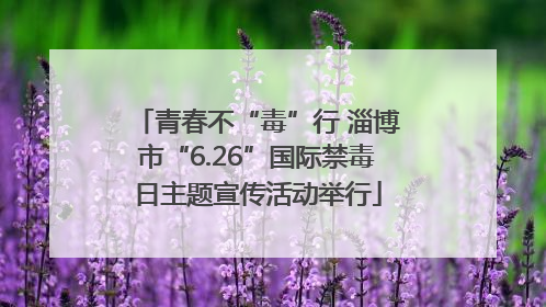 青春不“毒”行 淄博市“6.26”国际禁毒日主题宣传活动举行
