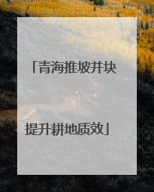 青海推坡并块提升耕地质效