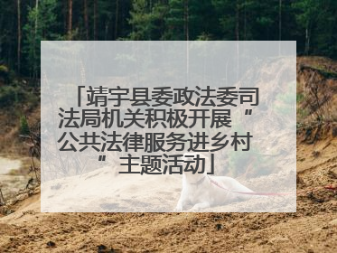 靖宇县委政法委司法局机关积极开展“公共法律服务进乡村”主题活动