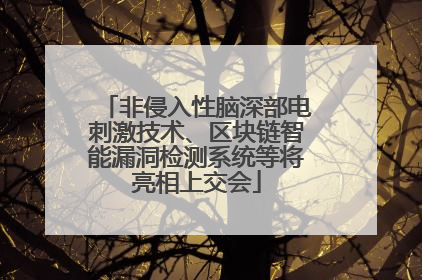 非侵入性脑深部电刺激技术、区块链智能漏洞检测系统等将亮相上交会