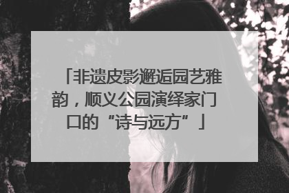 非遗皮影邂逅园艺雅韵，顺义公园演绎家门口的“诗与远方”
