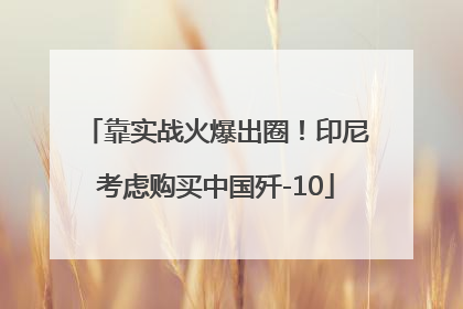 靠实战火爆出圈！印尼考虑购买中国歼-10