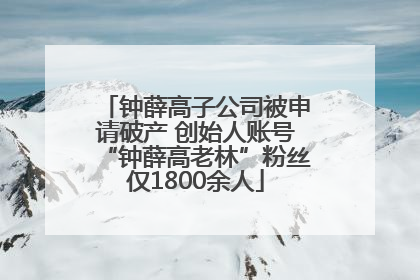 钟薛高子公司被申请破产 创始人账号“钟薛高老林”粉丝仅1800余人