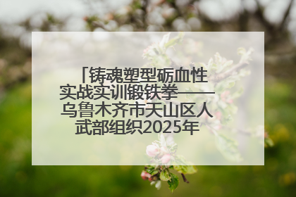 铸魂塑型砺血性 实战实训锻铁拳——乌鲁木齐市天山区人武部组织2025年度民兵集中轮训