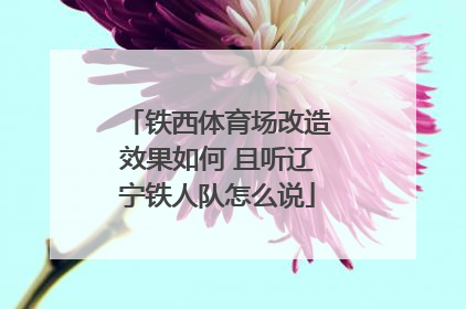 铁西体育场改造效果如何 且听辽宁铁人队怎么说
