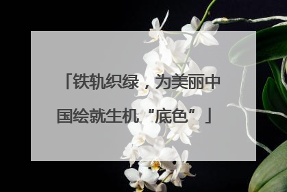 铁轨织绿，为美丽中国绘就生机“底色”