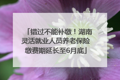 错过不能补缴！湖南灵活就业人员养老保险缴费期延长至6月底
