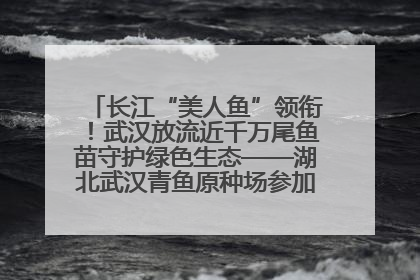 长江“美人鱼”领衔！武汉放流近千万尾鱼苗守护绿色生态——湖北武汉青鱼原种场参加2025年“全国放鱼日”增殖放流活动