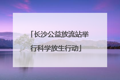 长沙公益放流站举行科学放生行动