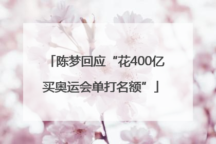 陈梦回应“花400亿买奥运会单打名额”