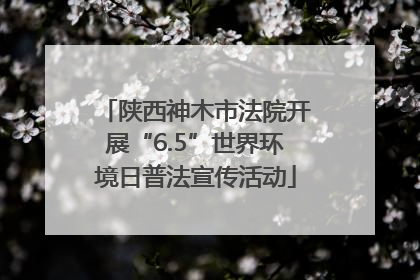 陕西神木市法院开展“6.5”世界环境日普法宣传活动