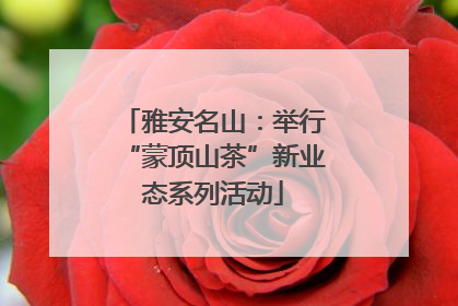 雅安名山：举行“蒙顶山茶”新业态系列活动
