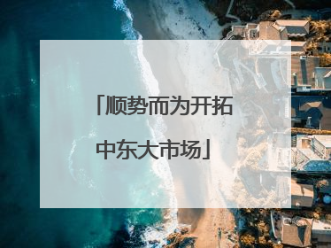 顺势而为开拓中东大市场
