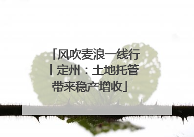 风吹麦浪一线行丨定州：土地托管带来稳产增收