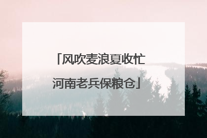 风吹麦浪夏收忙 河南老兵保粮仓