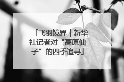 飞羽镜界｜新华社记者对“高原仙子”的四季追寻