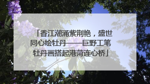 香江潮涌紫荆艳，盛世同心绘牡丹——巨野工笔牡丹画搭起港菏连心桥