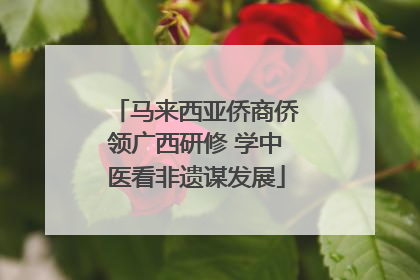 马来西亚侨商侨领广西研修 学中医看非遗谋发展