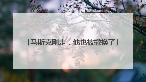 马斯克刚走，他也被撤换了