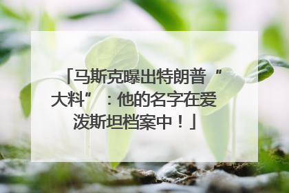 马斯克曝出特朗普“大料”：他的名字在爱泼斯坦档案中！
