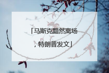 马斯克黯然离场，特朗普发文