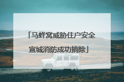 马蜂窝威胁住户安全 宣城消防成功摘除