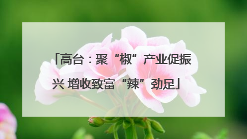 高台：聚“椒”产业促振兴 增收致富“辣”劲足
