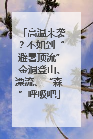 高温来袭？不如到“避暑顶流”金洞登山、漂流、“森”呼吸吧