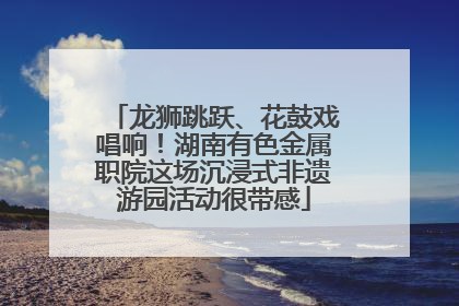 龙狮跳跃、花鼓戏唱响！湖南有色金属职院这场沉浸式非遗游园活动很带感