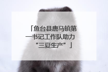 鱼台县唐马镇第一书记工作队助力“三夏生产”