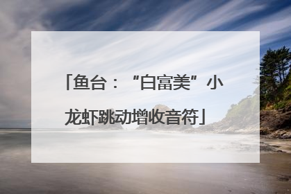 鱼台：“白富美”小龙虾跳动增收音符