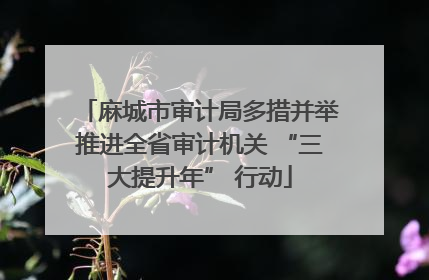 麻城市审计局多措并举推进全省审计机关 “三大提升年” 行动