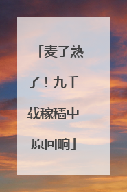 麦子熟了！九千载稼穑中原回响