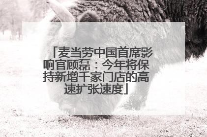 麦当劳中国首席影响官顾磊：今年将保持新增千家门店的高速扩张速度