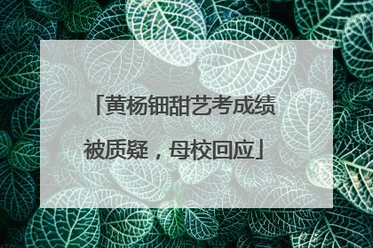 黄杨钿甜艺考成绩被质疑，母校回应