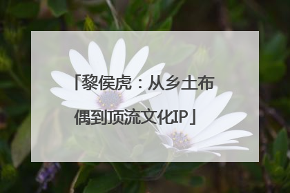 黎侯虎：从乡土布偶到顶流文化IP
