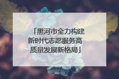 黑河市全力构建新时代志愿服务高质量发展新格局