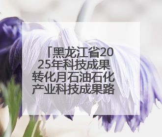 黑龙江省2025年科技成果转化月石油石化产业科技成果路演对接活动在大庆举办