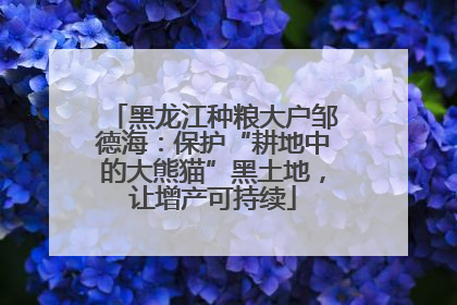 黑龙江种粮大户邹德海：保护“耕地中的大熊猫”黑土地，让增产可持续