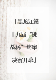 黑龙江第十九届“挑战杯”终审决赛开幕